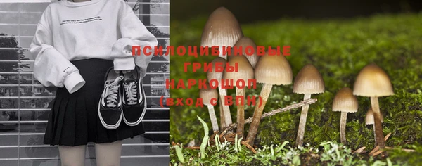 ешки Белокуриха