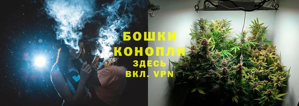ешки Белокуриха